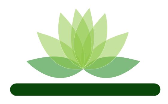 Chiraayu Wellness Centre